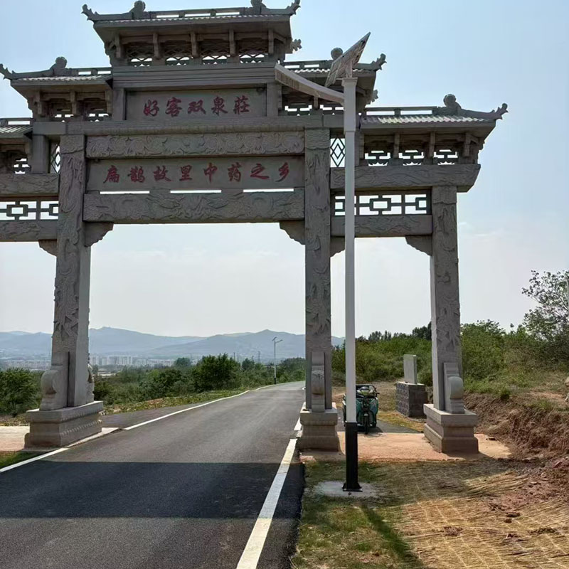 林芝8米太阳能路灯生产厂家