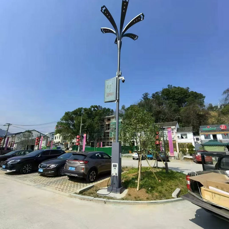 林芝太阳能路灯安装价格