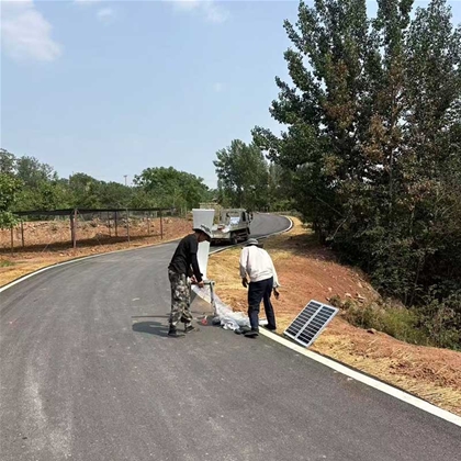 林芝太阳能路灯安装