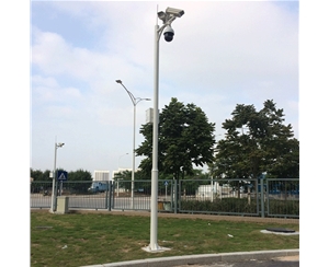 林芝道路监控杆-LB-05