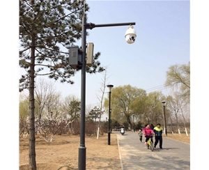 林芝路灯监控杆-LB-03