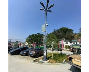 林芝太阳能路灯安装价格