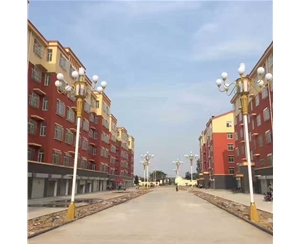 林芝中华灯批发